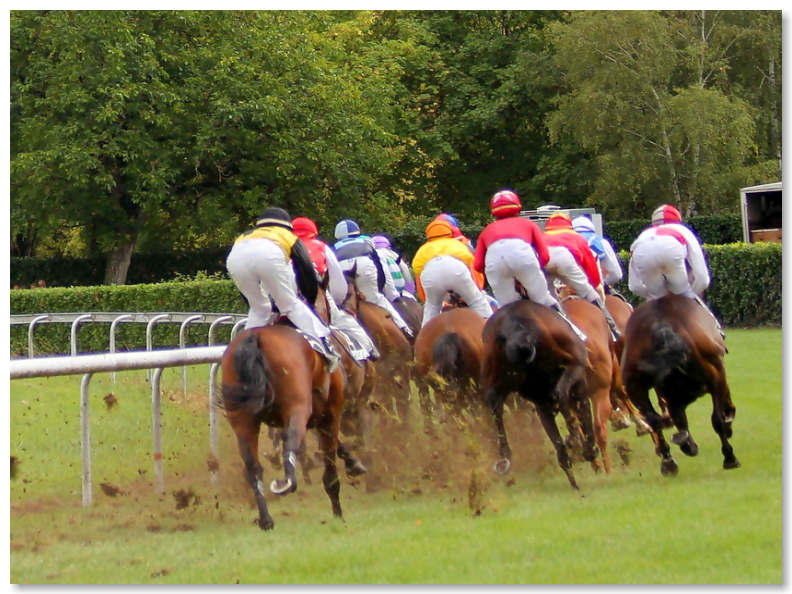 Horse racing at the local course